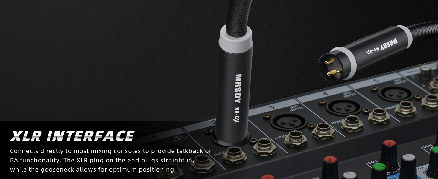DJ Microphone