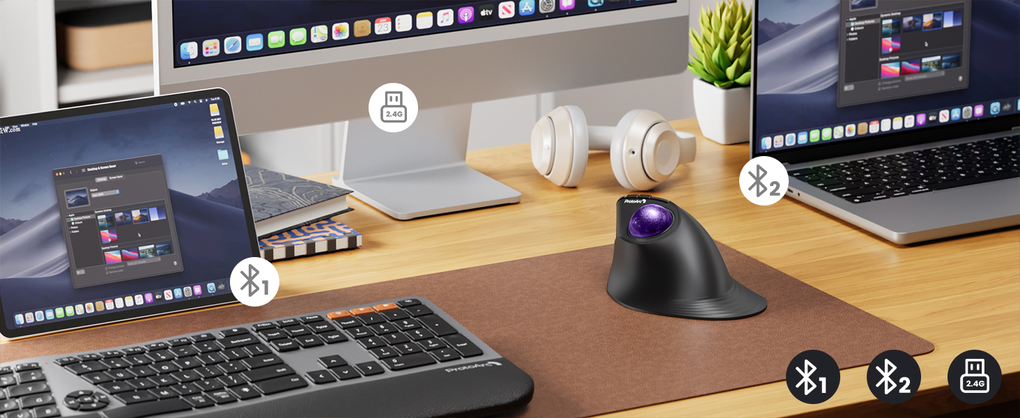 trackball mouse