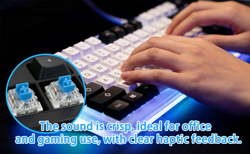 Blue Keyboard Switches with Switch Puller