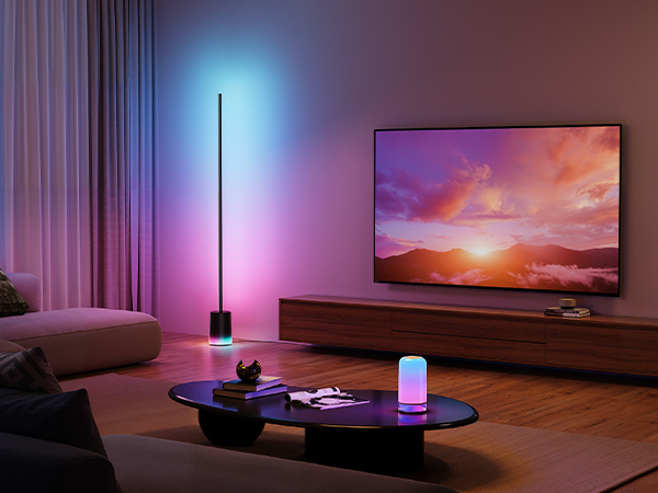 GOVEE Dreamview for Livingroom