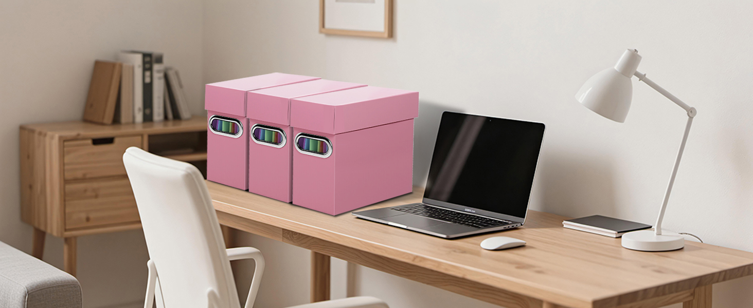 Naleyber File Organizer