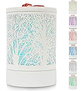 Enaroma Scented Oil Wax Melt Warmer with 7 Colors Changing Led Light White Forest Design Fragranc...