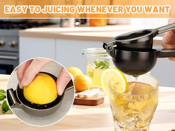 Lemon Squeezer