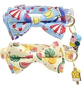 Faygarsle 2 Pack Cute Cat Collar with Bell Breakaway Bowtie Cat Collar for Male Female Cats Soft ...