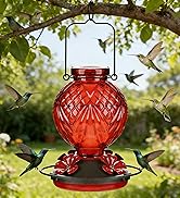 Tegarbed Glass Hummingbird Feeder for Outdoors Hanging