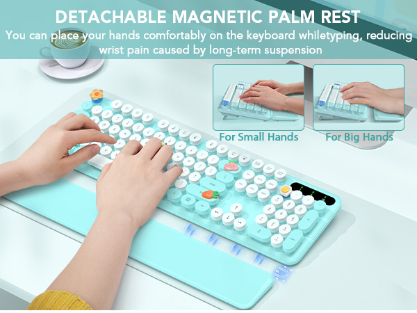 DETACHABLE MAGNETIC PALM REST