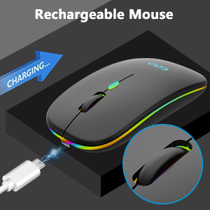 mouse