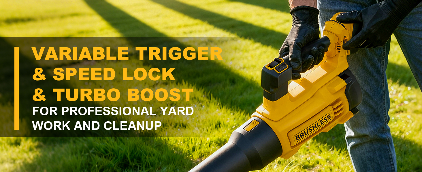 dewalt blower