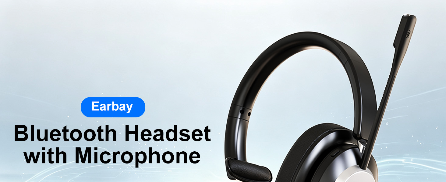Bule Headset with Microphone