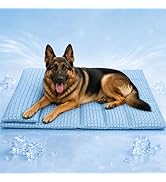 GOLOPET Large Dog Cooling Mat for Dogs with Pillow, 36x24in Soft PP Cotton Filled Ice-Cool Dog Be...