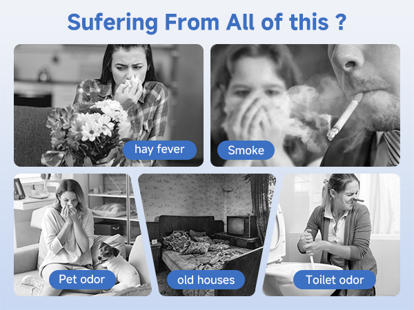 Air Purifier Ozone &amp;amp; Negative Ion 99% Odor Eliminator for Pet