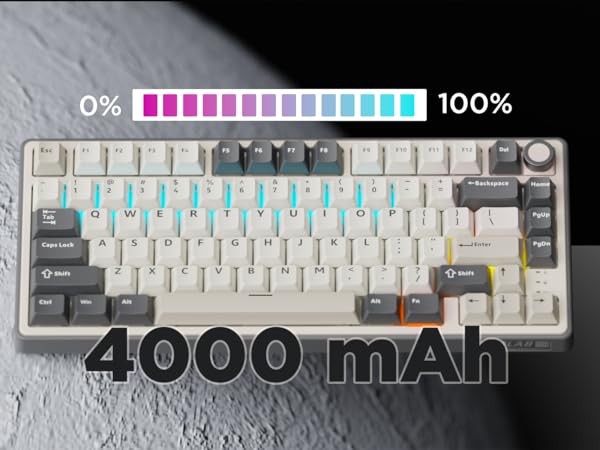 313131