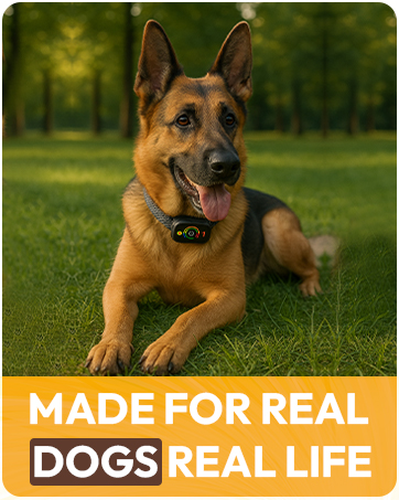 dog supplies no bark collar deterrent large small dog outdoor yard tie out stakes cable runner