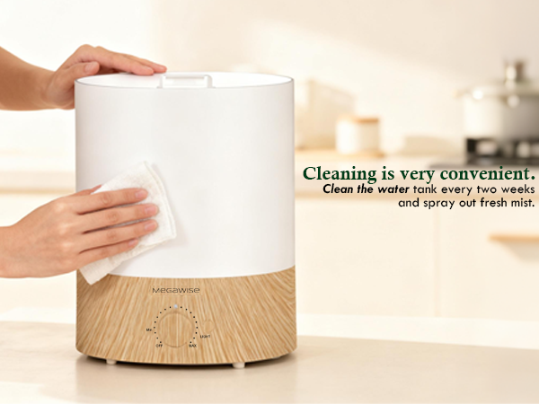 humidifier