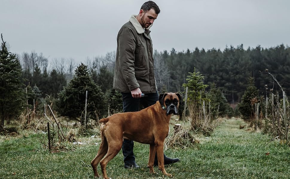 Dog E COLLAR for MEDIUM Dogs