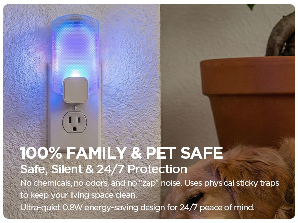 fly killer gnat killer plug in best safe electric flying insect trap fruit fly bug blue UV light