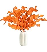 Oning 10 Pcs Fall Stems Eucalyptus Thanksgiving Decor, 15"-17" Real Silver Dollar Eucalyptus Stem...