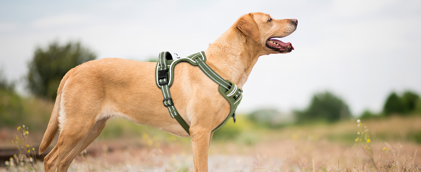 dog harness large size dog