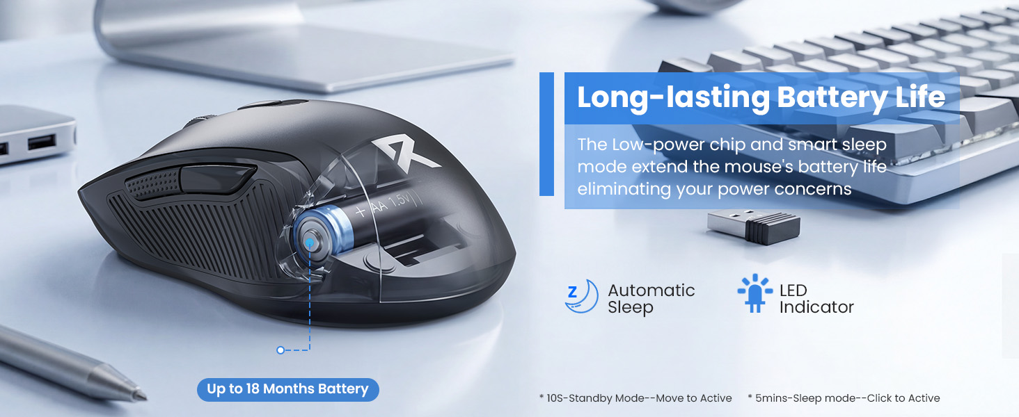 computer mouse