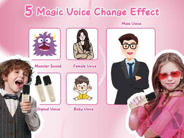 Karaoke Machine for Kids Adults, Mini Portable Bluetooth Karaoke Speaker with 2 Wireless Microphone