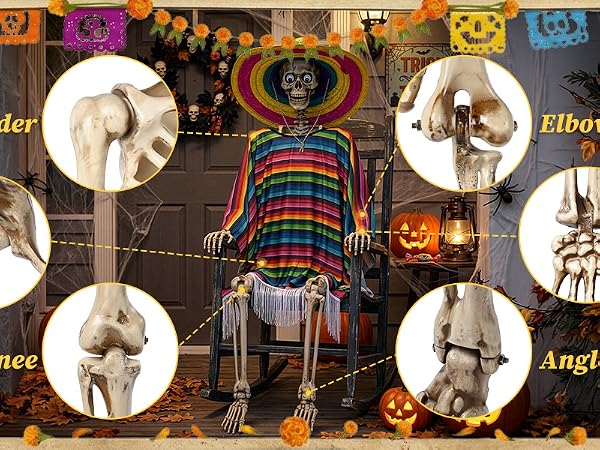 Life Size Posable Skeleton
