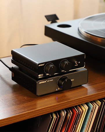 1AIYIMA Audio Amplifier