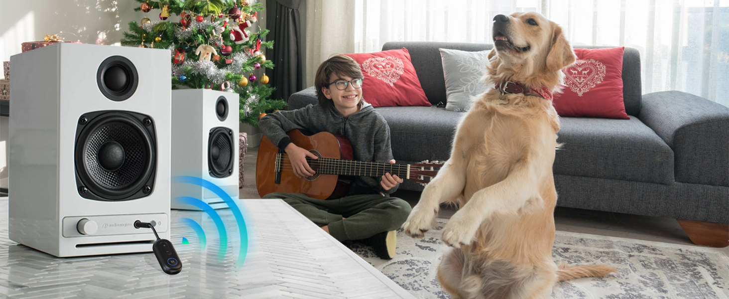 Bluetooth receiver for home stereo