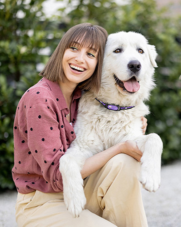 dog training collar with remote