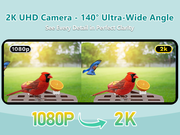 smart bird feeder with camera solar powered power wood wifi ai video live outdoor outside