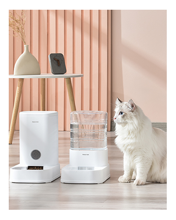 cat feeder and waterer