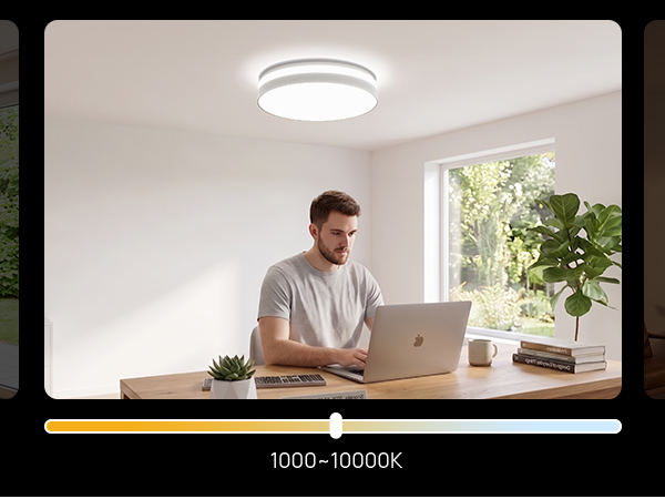 smart ceiling light