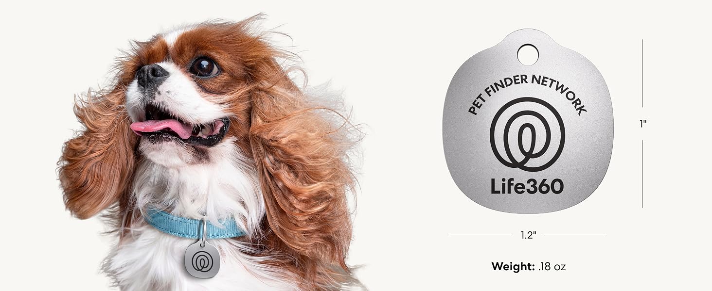 Pet Tag Dimmensions