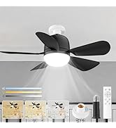 E26 Socket 20" Fan Light Ceiling Fan 5 Level Speed Three Color Temperature Smooth Brightness Adju...