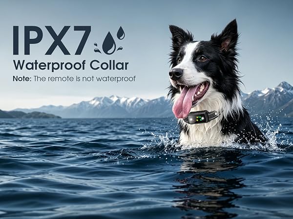 Dog Shock Collar 2 Dogs, training collar with remote