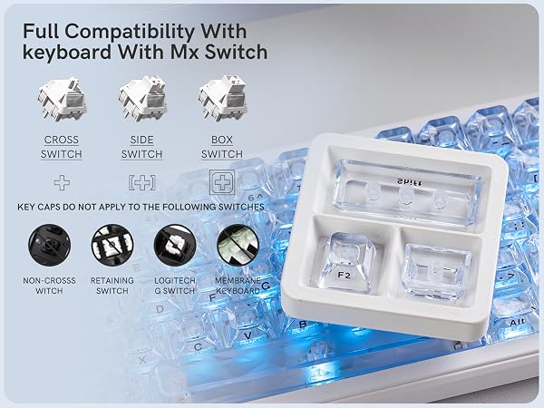 Full Compatibility With keyboard With Mx Switch