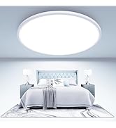 libtit Large LED Ceiling Light 16.5Inch, 4200LM 36W Bright Flush Mount Lights for Ceiling, 3000K/...