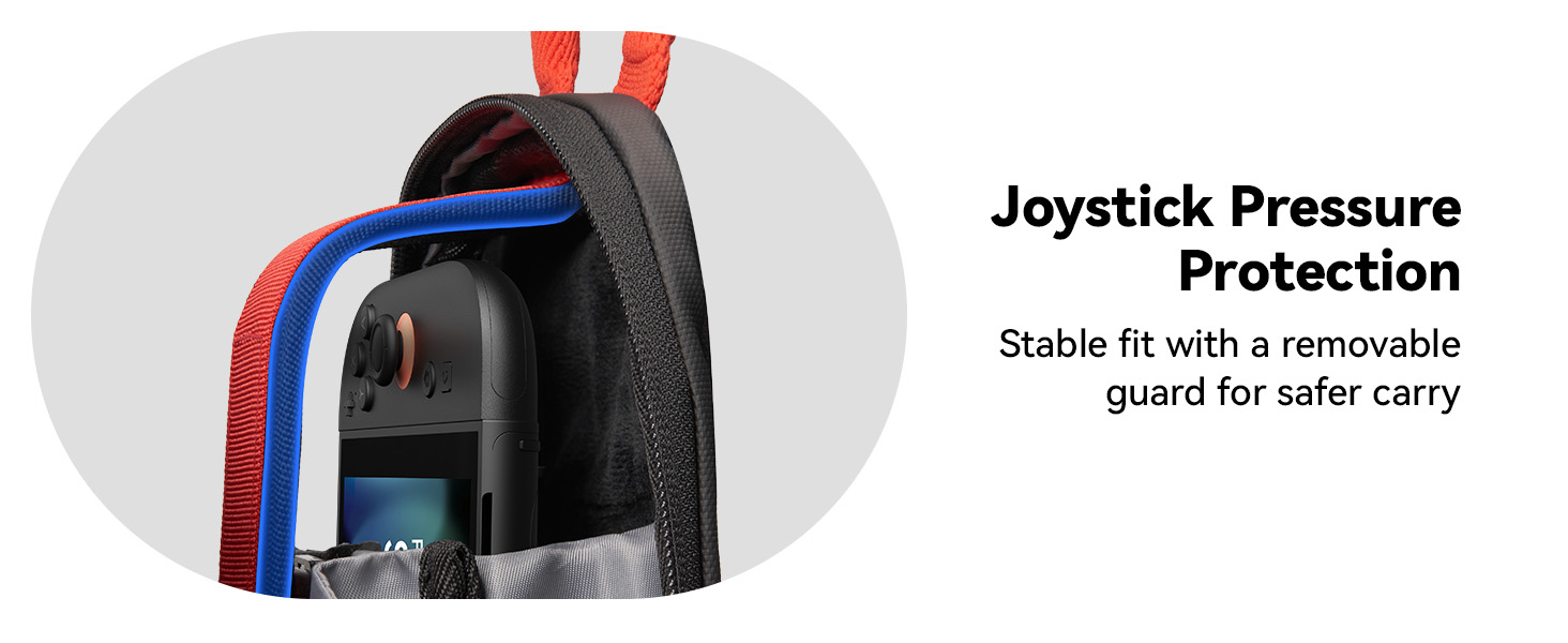 Switch 2 Bag
