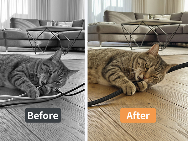 cord protectors from pets no chew