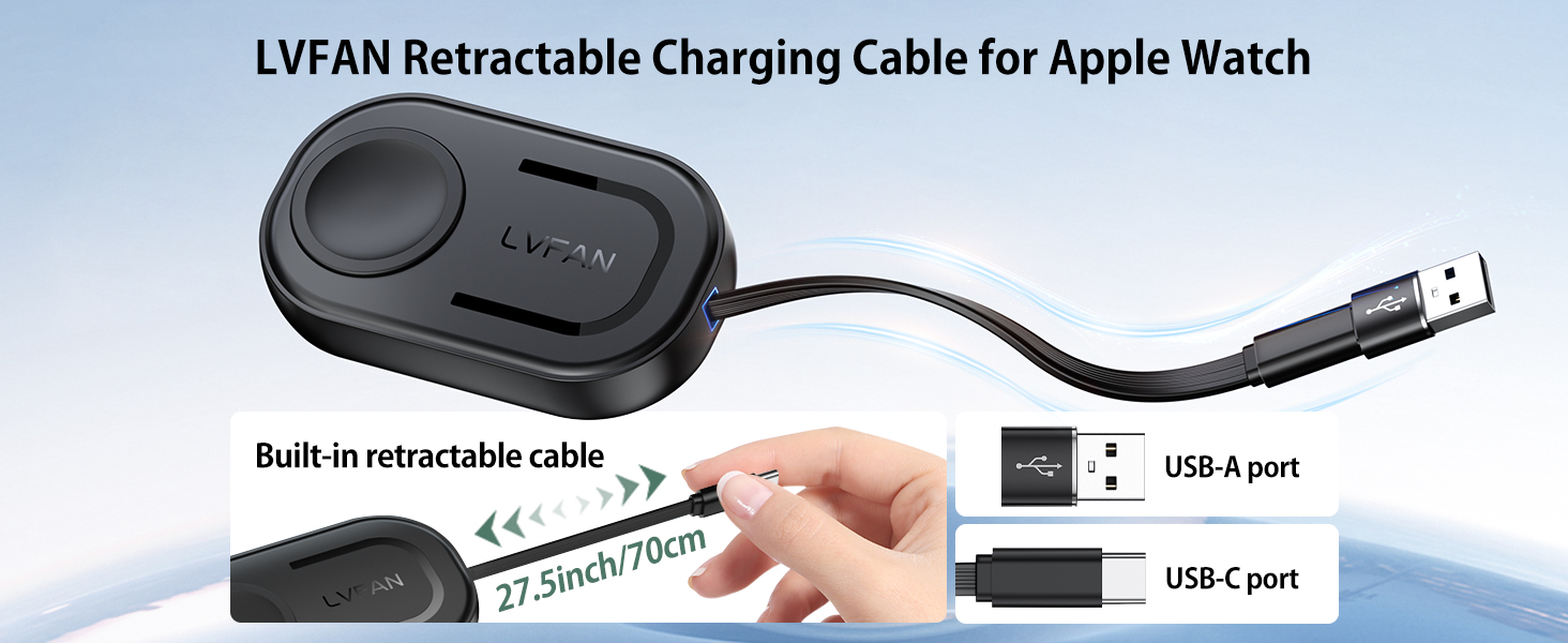 LVFAN Charger