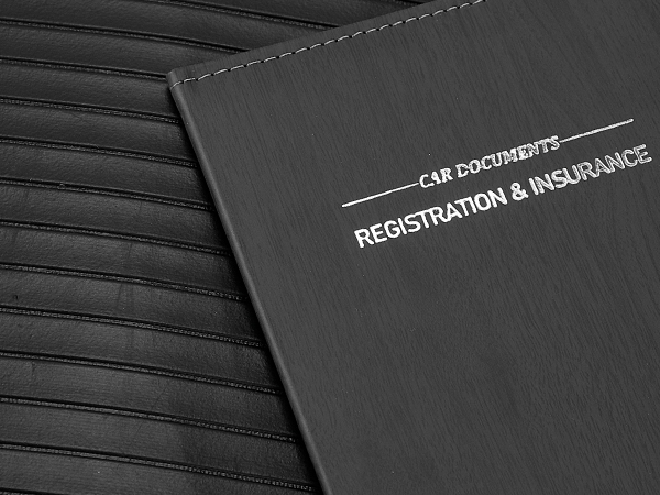 Leather Car Registration and Insurance Card Holder