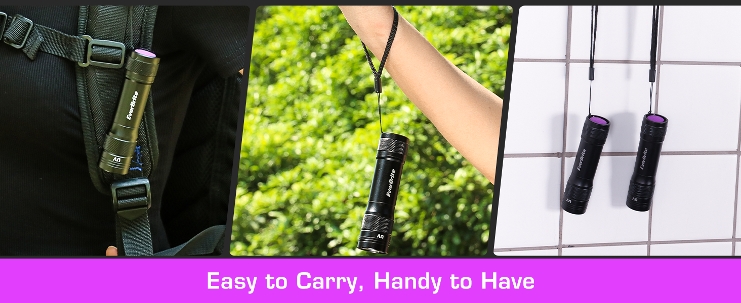 Easy to Carry, Handy to Have