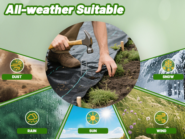 all weather suitable