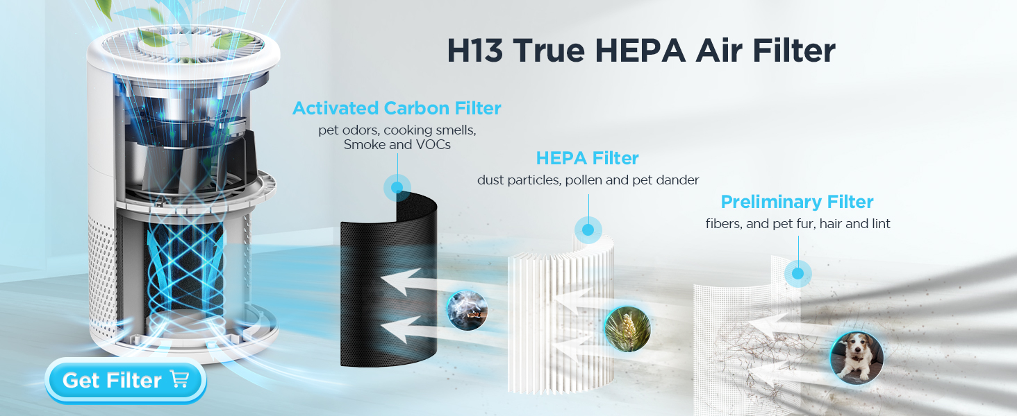 H13 True HEPA Air Purifiers