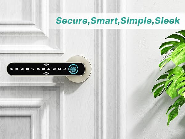 biometric door lock