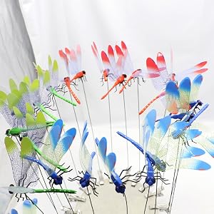 Dragonfly Clips