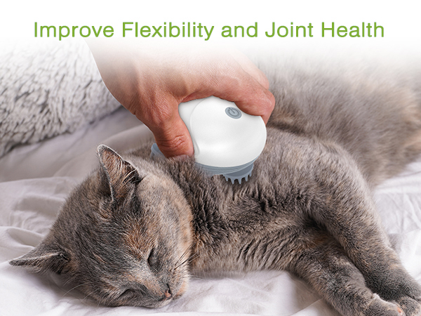 Cordless Pet Massager