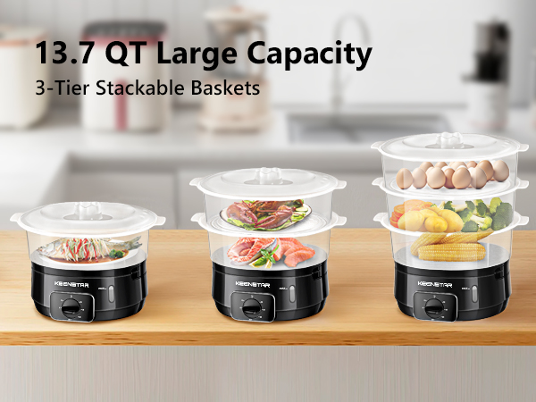 eletric food steamer