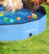 splash pad, dog pool