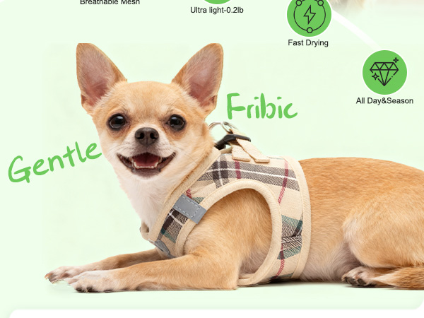 gentle frbic