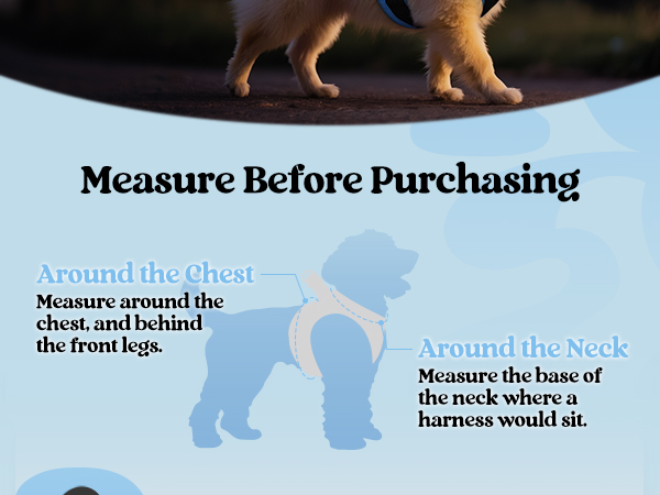  rabbitgoo Dog Harness